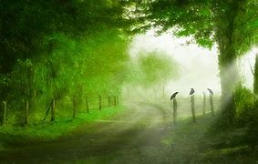 关于手机号码估价的几点因素