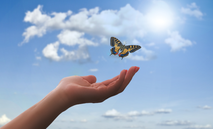 每个手机号码都有对应的价值，每个人用的号码都是经过自己的精挑细选，或是对自己有意义的，或者是某个纪念日或者生日，抑或是钟情于某个数字，还有可能是选择自己的幸运数字。或者是吉祥数字或者手机靓号。