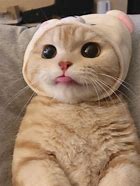 好看、好记,在这个什么都讲究快的社会里,一个好记的靓号会减少很多社交所需的记忆成本,尤其对于商务人士来说,一个拥有美好寓意的电话号码,更是一张与客户沟通的加分名片。